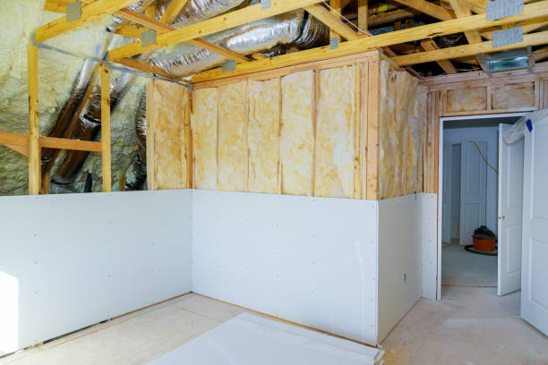 Best Insulation Removal Services  in Difficult Run, VA