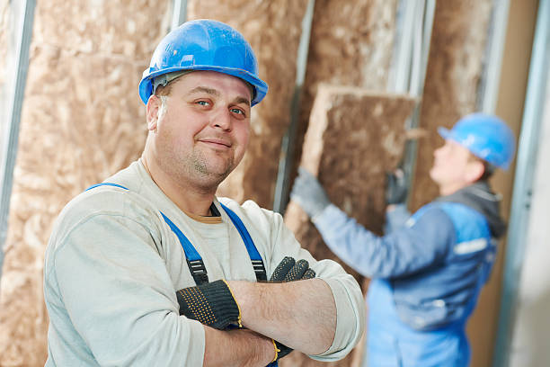 Best Insulation Inspection Services  in Difficult Run, VA
