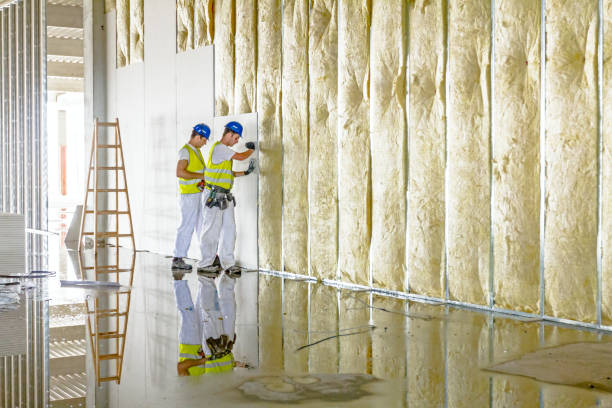 Best Soundproof Insulation Installation  in Difficult Run, VA